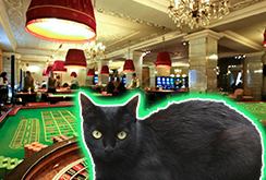 Приметы в азартных играх